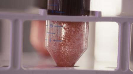  Becoming A Sentinel Species 