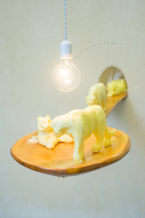  Meet tiger and go on