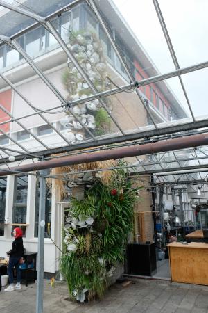  Hard Water overgrown in '21