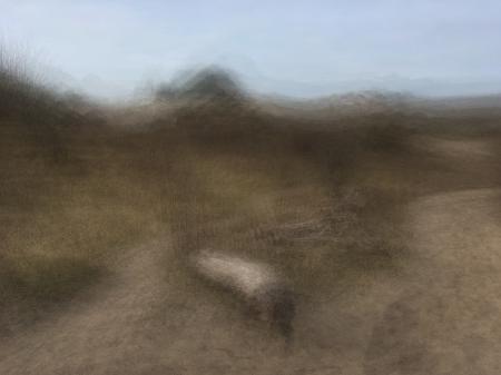  half-hidden, moss-driven, cloud-like