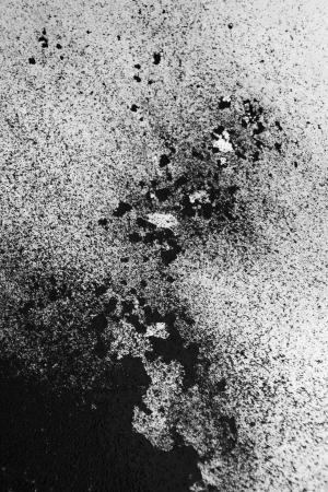  Carbon movement number 2