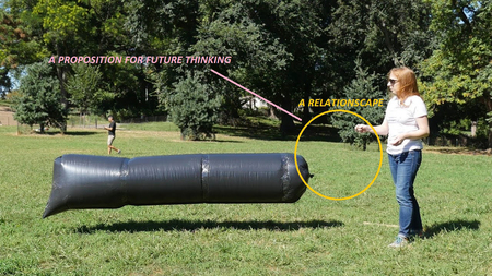  A Relationscape: Sauages, Balloons, Trees and Stones