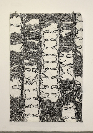  Palm trees // Spines