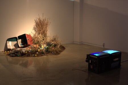  The Eventual Probability of Landscape No 4