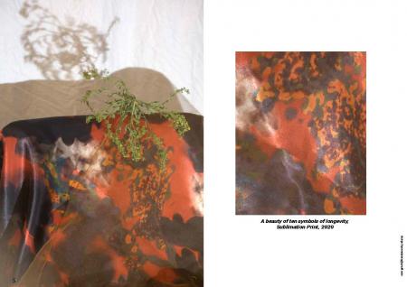  Ten symbols of Longevity