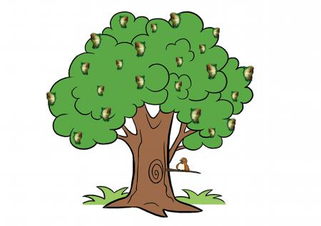  Parakeets in the tree