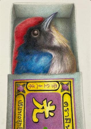 singularity-Thai birdie in a matchbox  singularity-Thai birdie in a matchbox