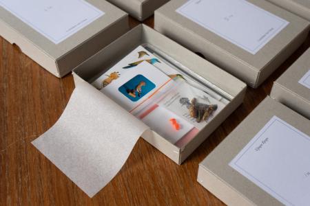  Upupa Epops Multiple