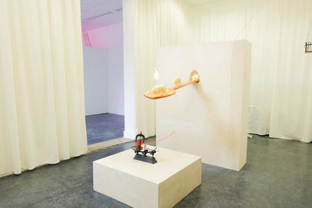  Meet tiger and go on