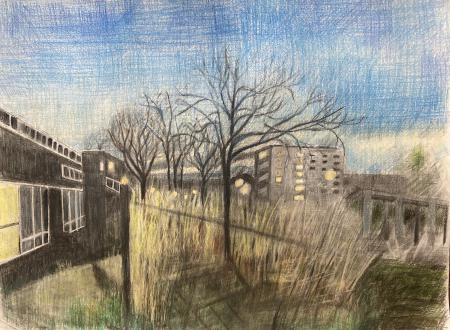  "Habitat Lost" series