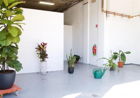  Acts of Opening #2: Kunst_Planten