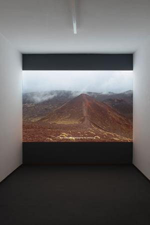  Blossoms and fruits at once