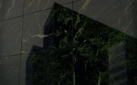  Altered Atlas (Downsizing)