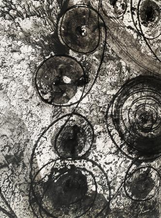  Circularis Panacea Fanegrus