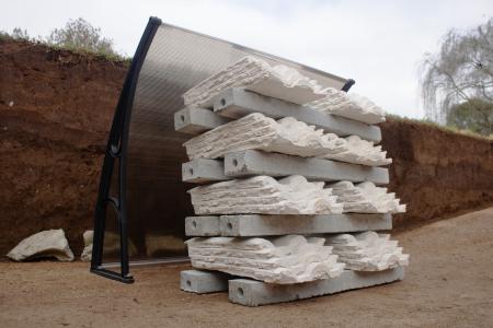  The structure of things to come: The favor of survival (2025)