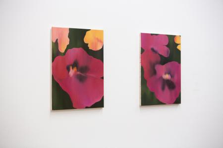  Allee des tulipes dyptich