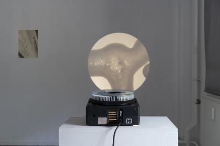  The was—is—ever—shall—be of cosmic reproductivity