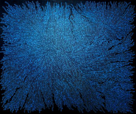  Unfamiliar Landscape Diverse