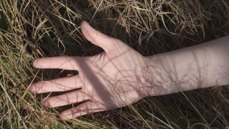  First it sleeps, second it creeps, third it leaps