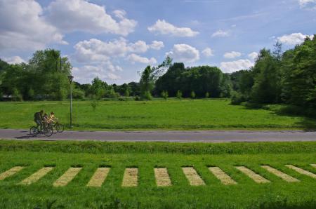  Graswerk 