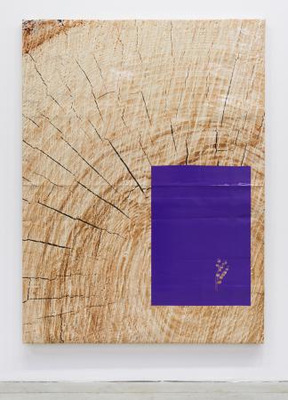  Untitled (landscape paintings)