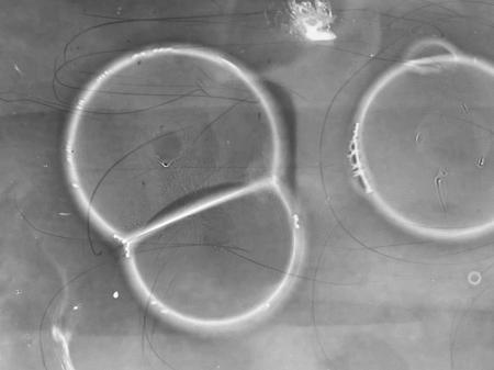 Sketch detail in darkroom   Sketch detail in darkroom