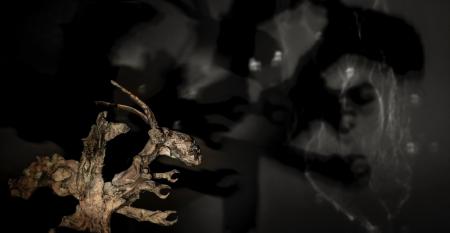  Blinded by the light