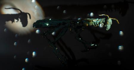  Horizontale sprinkhaan