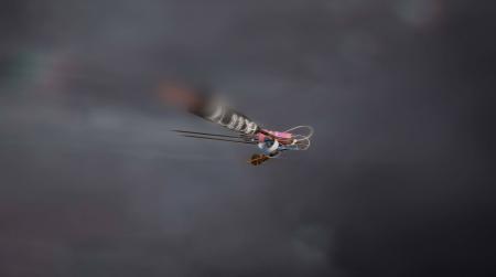  Lyves II, More Than Ever