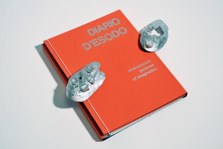 Diario d'Esodo  Diario d'Esodo