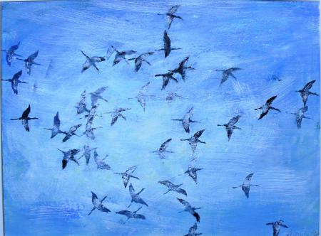 trekvogels