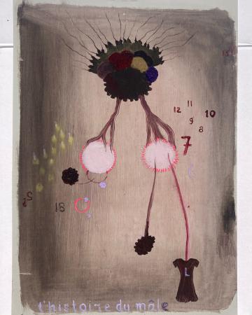  'l'histoire du mâle'