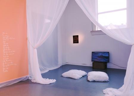 Video installation: I was told the bird isn't living anymore