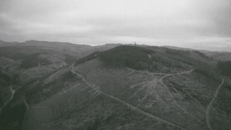  In The Forest Behind My Father's House