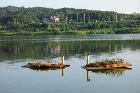  Aquatic Microclimate Experience