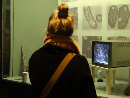  Blossoms and fruits at once