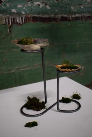  blimp, toot, jingle, fizz!