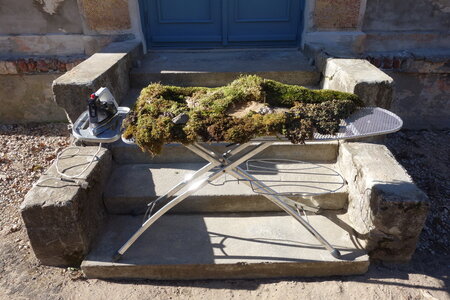  Microclimates Take Over