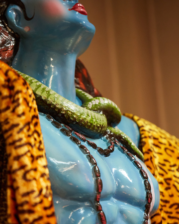  Uit de database van Eerst Zien dan Geloven