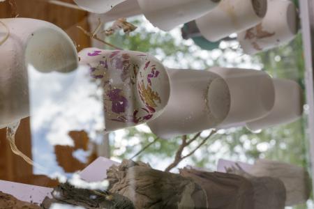  Plantscapes; It’s a love story, Earthly Provenance | Ancestral Intimacy
