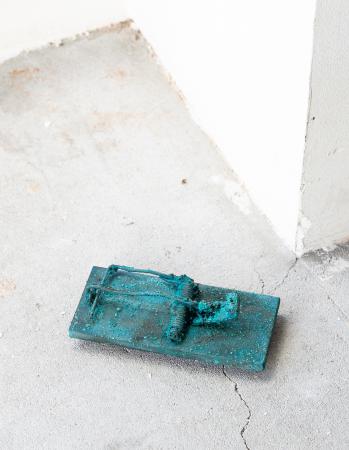  It’s a rat rat’s world