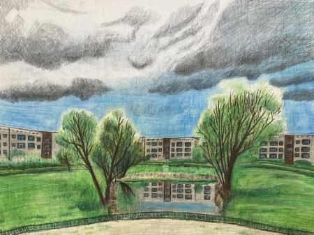  "Habitat Lost" series