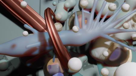 The New Pangasius  The New Pangasius