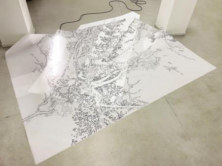  Darstellung einer Rosskastanie