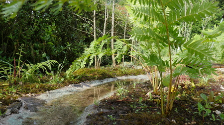  Garden of Microclimates