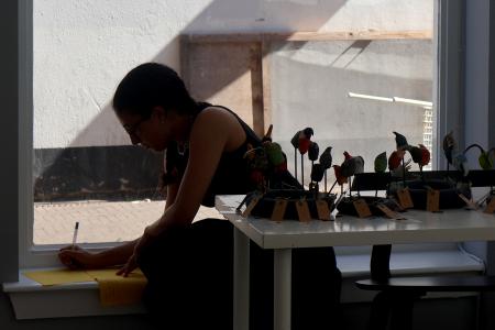  Trickster in the Capitalocene