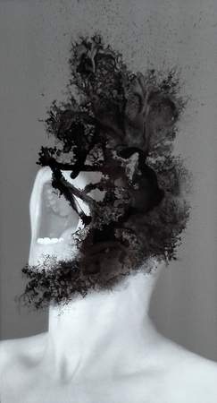  "Study of the psychological interpretation of inkblots" from the serie Lost identity.