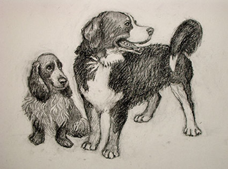  twee honden
