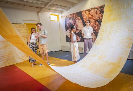 The Holy Color of Turmeric, the sunlit spice  The Holy Color of Turmeric, the sunlit spice