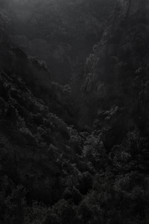  Absence_France_Haute Corse_2023